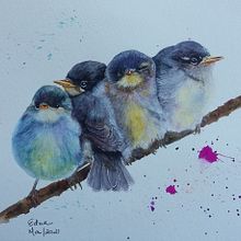 Meu projeto do curso: Técnicas expressivas de aquarela para ilustração de pássaros. Traditional illustration, Watercolor Painting, Realistic Drawing, Naturalistic Illustration, and Painting project by Edna Ogaki - 04.16.2021