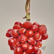 Mi Proyecto del curso: Ilustración botánica con acuarela. Botanical Illustration project by Isabel Cristina Rengifo T. - 04.17.2021