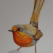 Mi Proyecto del curso: Ilustración naturalista de aves con acuarela Ein Projekt aus dem Bereich Traditionelle Illustration von Isabel Cristina Rengifo T. - 17.04.2021