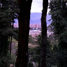 Parque Lindaraja - Bogota D.C. - Reportaje con el verde!. Un proyecto de Comunicación, Creatividad y Fotografía de Jimena Cardenas - 25.04.2021