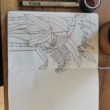 Mondly log May. Traditional illustration project by erikzurcher - 05.01.2021
