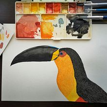 My project in Naturalist Bird Illustration with Watercolors course. Drawing, Painting, and Watercolor Painting project by Marcela Rees - 04.17.2021