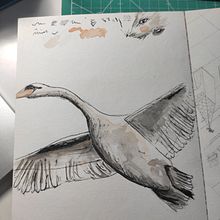 My project in Illustration Techniques to Unlock your Creativity course. Un proyecto de Sketchbook y Bocetado de steph heyvaert - 17.04.2021