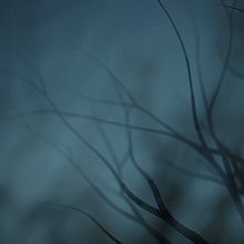 Lux aeterna. 3D Animation, 3D, and 3D Modeling project by Maria chiara Moscato - 04.17.2021