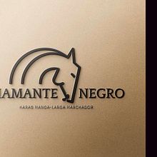 PROJETO LOGO HARAS. Graphic Design project by Wagner Castro - 04.18.2021