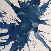 Cyanotype on paper. Un proyecto de Creatividad de Ελένη Γαλάνη - 18.04.2021