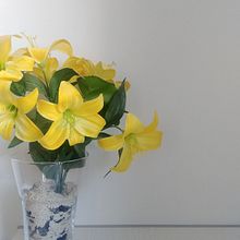 Mi Proyecto del curso: Fotografía profesional para Instagram. Projekt z dziedziny Br, ing i ident i fikacja wizualna użytkownika Ana Belén Moneva - 19.04.2021