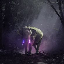 Mattepainting, Dando Magia ao Elefante de Pixabay.. Photomontage, and Matte Painting project by Rafael Lanfredi - 04.19.2021