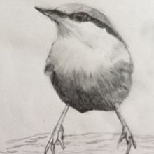 tonal value Bird. Watercolor Painting project by Heather Riding - 04.19.2021