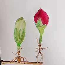 animal drawings Ein Projekt aus dem Bereich Bleistiftzeichnung und Aquarellmalerei von Eva Bekesi - 19.04.2021