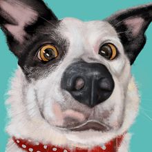 Rescue Dog Portraits. Digital Painting project by Marc Davey - 03.01.2020