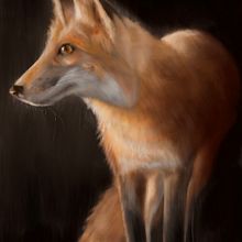 Some British Wildlife. Digital Painting project by Marc Davey - 11.07.2020
