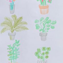 Plantas - lápices de colores. Traditional illustration project by Angela Vargas - 02.09.2021