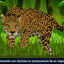 Ilustración Digital con Vectores de un Jaguar.. Een project van  Ontwerp, Grafisch ontwerp, Digitale illustratie y Vectorillustratie van Andres Sequera - 20.04.2021