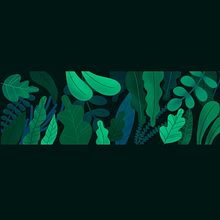 Plant banner. Un progetto di Illustrazione botanica e Illustrazione tradizionale di Tanya Meschcerina - 20.04.2021