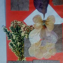 Titania collage botánico . % Tanja Tabita Isolde tarafından hazırlanan Güzel sanatlar, Kolaj, Botanik İllüstras, Ve on projesi - 04.20.2021