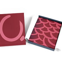 Two Scarf Designs. Accessor, Design, Design, Digital Design, and Fashion Design project by Dan Prieto - 04.21.2021