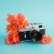 Camara y Flores. Studio Photograph project by Diego López Cano - 04.22.2021