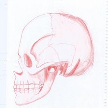 Mi Proyecto del curso: Dibujo anatómico para principiantes. Un proyecto de Dibujo a lápiz de marymad - 07.05.2021