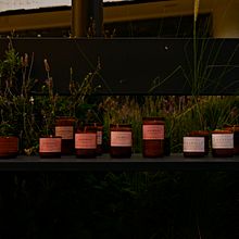 Campaña fotografia de producto para #yonovoypalmitlan . Un projet de Photographie , et Publicité de Ax Larios - 23.04.2021