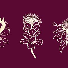 Ria se Tuin | Package Design | Brand Identity. Un progetto di Illustrazione tradizionale, 3D, Br, ing, Br, identit, Graphic design, Marketing, Packaging, Lettering, Gestione di un portfolio, Illustrazione botanica, H e lettering di Caitlin Conradie - 23.04.2021