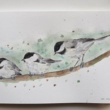 My project in Artistic Watercolor Techniques for Illustrating Birds course. Un projet de Aquarelle de Diana Poell - 23.04.2021