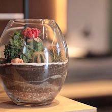 Casacor 2019 - Espacio Arq. Jennifer Juneck. L, and scape Architecture project by Fotosíntesis Green Art - 04.23.2021