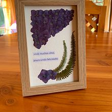 Corazón florido: Mi Proyecto del curso: Técnicas básicas de prensado botánico Ein Projekt aus dem Bereich Collage von sencillafelicidad - 23.04.2021