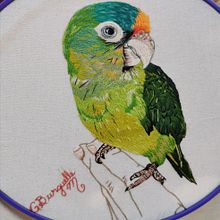Imagen de Mi Cotorrita. Un progetto di Creatività di gburguettem - 24.04.2021