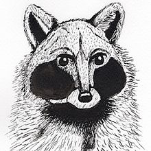Mapache atento. Ilustração tradicional e Ilustração com tinta projeto de Silvia Villanueva Olivo - 20.02.2021