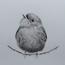 Birds. Ilustração tradicional, e Pintura em aquarela projeto de Janneke Vrijdag - 24.04.2021