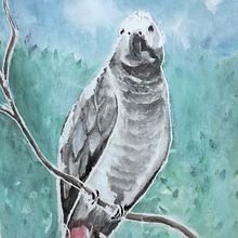 Projet 2. Watercolor Painting project by fabienne - 04.24.2021