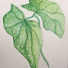 Projet 3. Botanical Illustration project by fabienne - 04.24.2021