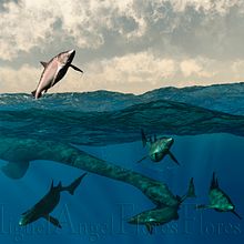 Reconstrucciones de paleontología. Digital Drawing, Editorial Illustration, Digital Illustration, Naturalistic Illustration & Infographics project by Miguel Angel Flores Flores - 04.24.2021