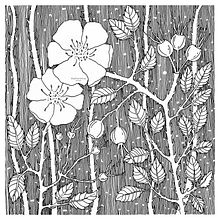 Rosehip. Un proyecto de Ilustración tradicional de Beth Woolrich - 24.04.2021