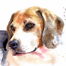 Boomer, dog of my fried Dennis Ein Projekt aus dem Bereich Aquarellmalerei von Tina Ritter - 24.04.2021