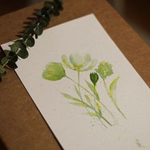 Acuarela botánica Ein Projekt aus dem Bereich Traditionelle Illustration, Zeichnung, Aquarellmalerei und Botanische Illustration von Sofía Carro - 24.04.2021