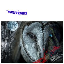 Mistério. Photograph project by António Silveira - 04.22.2021