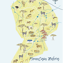Mountain Zebra National Park creative map. Projekt z dziedziny Trad, c i jna ilustracja użytkownika Jennie Harborth - 18.04.2021