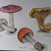 Mi Proyecto del curso: Cuaderno botánico en acuarela. Drawing, Traditional illustration, and Botanical Illustration project by Galina - 04.24.2021