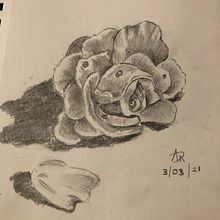 Proyecto Rosa a Lápiz . Projekt z dziedziny R, sunek ołówkiem, R i sunek botaniczn użytkownika Desirée Serna - 03.03.2021