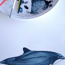 Cetáceos. Traditional illustration, and Watercolor Painting project by Carola Esquivel - 04.24.2021