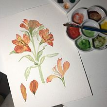 Meu projeto do curso: Aquarela botânica: ilustre a anatomia das flores. Commercial Photograph, and Watercolor Painting project by Giovanna Elias - 04.25.2021