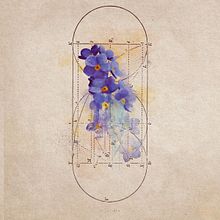 Flrs. Digital Illustration project by Koop - 04.25.2021