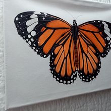 Mariposa monarca. Pintura projeto de Astrid Guzman - 16.04.2021