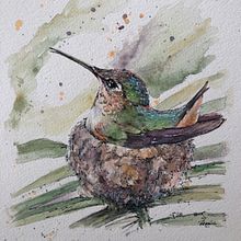 Home sweet home of a hummingbird. Een project van Aquarelschilderen van Maria Mazariegos - 25.04.2021