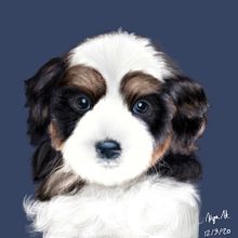 Realistic Puppy Portrait . Projekt z dziedziny Ilustracje dla dzieci, Concept art, R, sunek c, frow, Ilustracja c, frowa, Malarstwo c, frowe,  R i sunek użytkownika Kyra H. - 24.04.2021