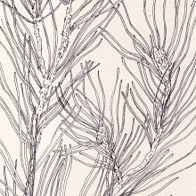 Ramas. Desenho, Ilustração tradicional, Ilustração botânica, Ilustração com tinta e Ilustração naturalista projeto de Sara del Valle - 25.04.2021