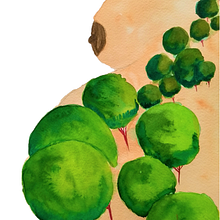 My illustrations for stories from the book The red garden . Projekt z dziedziny Trad, c, jna ilustracja, Ilustracje dla dzieci, Stor, telling, Malowanie akwarelą,  Malarstwo, Sketching, Sketchbook,  R, sunek, Ilustracja naturalist, czna, R i sunek botaniczn użytkownika Beant Kaur Dhillon - 25.04.2021