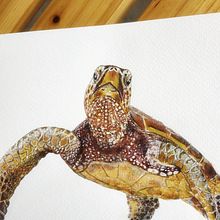 Renata. Un proyecto de Ilustración tradicional de Carme Farrerons - 25.04.2021